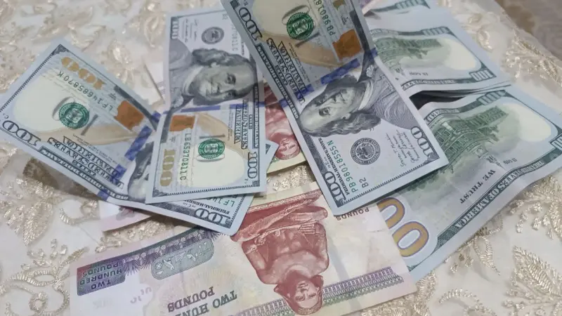 سعر الدولار اليوم الخميس 24 سبتمبر 2026.. توقعات قرار الفائدة في مصر