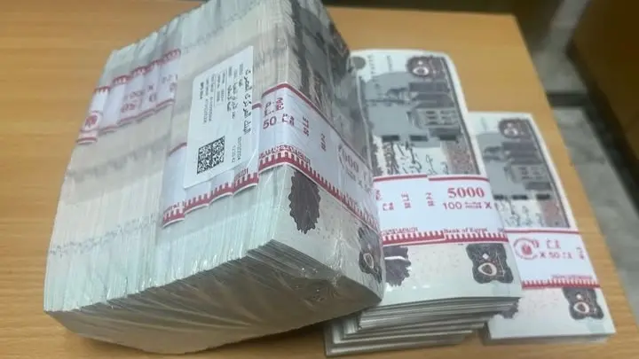 موعد صرف منحة العمالة غير المنتظمة بمناسبة عيد الأضحى في مصر