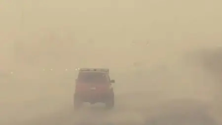 العاصفة الترابية في مصر.. ما الفئات الأكثر عرضة للخطر؟