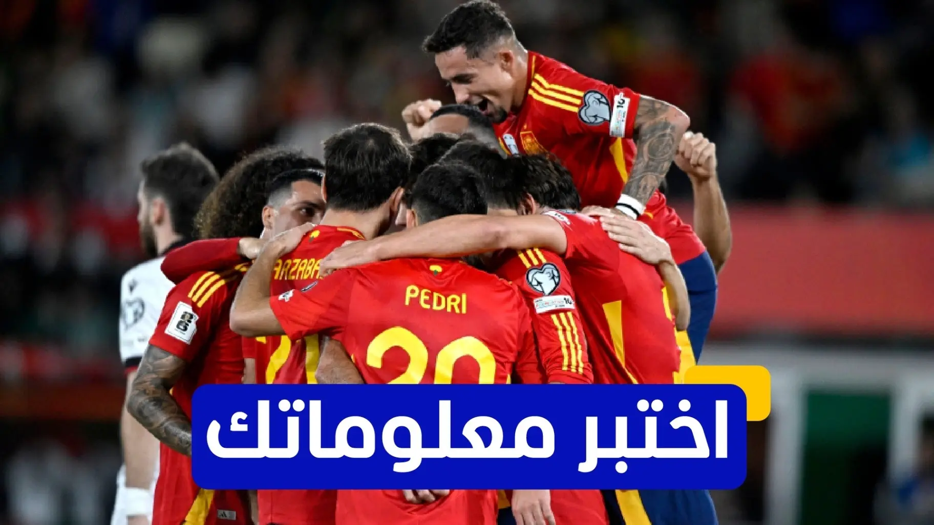 خطوة واحدة تفصل إسبانيا عن كأس العالم 2026 (رويترز) خطوة واحدة تفصل إسبانيا عن كأس العالم 2026 (رويترز)