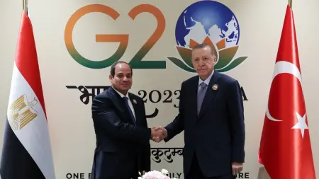 بعد قطيعة دامت لعقد.. إردوغان يتسلم أوراق السفير المصري في تركيا