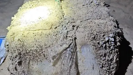 شاهد.. العثور على 120 كيلوغراماً من الكوكايين على شواطئ أسترالية