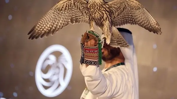 معرض أبوظبي الدولي للصيد والفروسية 2025.. نسخة تاريخية بأكبر برنامج منذ انطلاقه