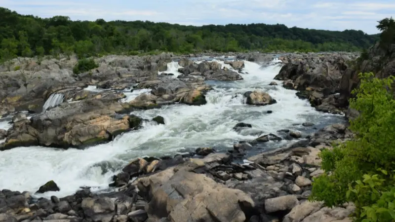 أميركا.. تسرب ضخم لمياه الصرف الصحي يتدفق لنهر بوتوماك