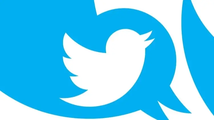 "عملية الطائر الأزرق" تتحدى إيلون ماسك لاستعادة "تويتر"