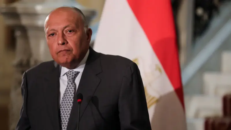 شكري يؤكد لبلينكن ضرورة إعادة نفاذ المساعدات لغزة