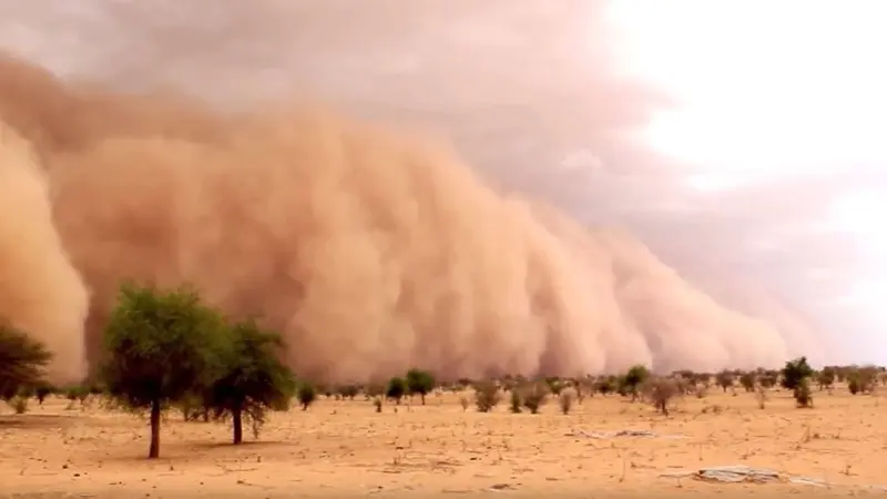 تحذيرات من رياح الخماسين.. مصر تتحضر للمنخفض الجوي الصحراوي