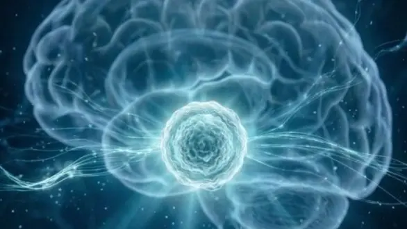 "أبوظبي للخلايا الجذعية" يطوّر تقنية متقدمة لإنتاج خلايا دماغية مشتقة من المريض