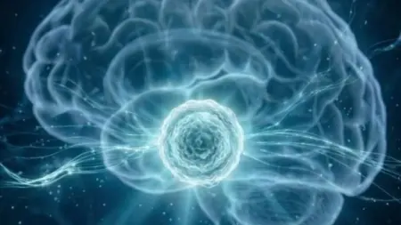 related_news_inside_blogs"أبوظبي للخلايا الجذعية" يطوّر تقنية متقدمة لإنتاج خلايا دماغية مشتقة من المريض