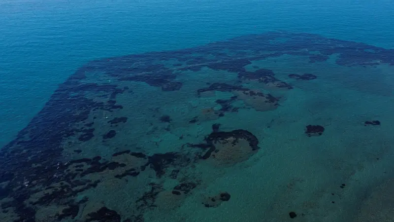 فيديو - اتفاقية ترسيم الحدود البحرية بين لبنان وقبرص في مرمى انتقادات تركيا