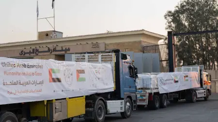 ضمن الفارس الشهم.. دخول 683 طنا من المساعدات الإنسانية الإماراتية لغزة