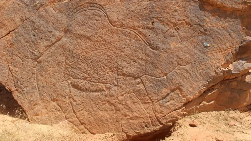 نقوش الصحراء العربية تكشف أسرار الماء والحياة قبل 12 ألف عام
