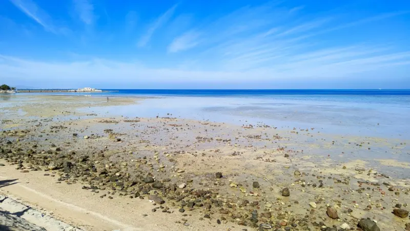 فيديو- سبب اختفاء بحر الغردقة.. البحر يفاجئ السياح