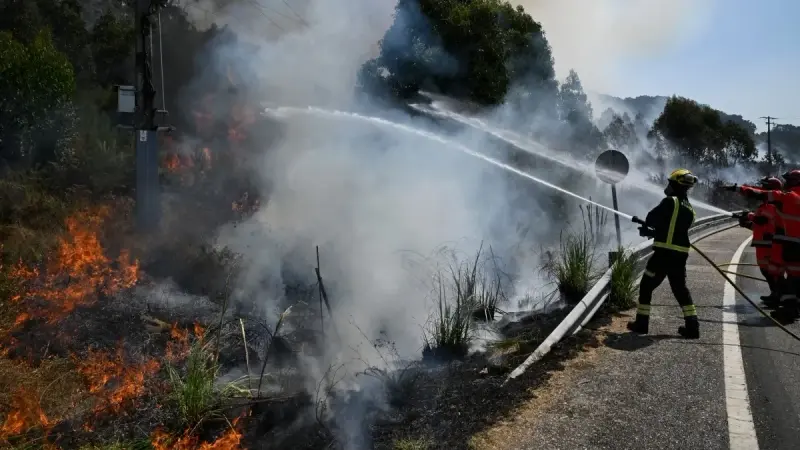 فيديو - موجة الحر الأخيرة في إسبانيا تكسر الأرقام القياسية