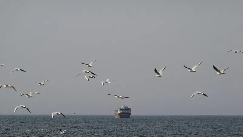 ما حقيقة سماح إيران بمرور السفن الهندية في مضيق هرمز؟