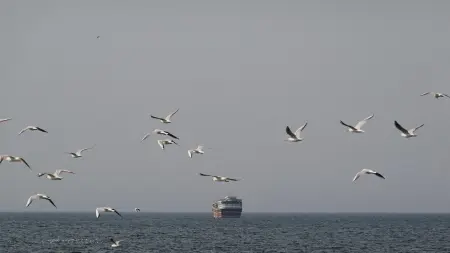 related_news_inside_blogsما حقيقة سماح إيران بمرور السفن الهندية في مضيق هرمز؟