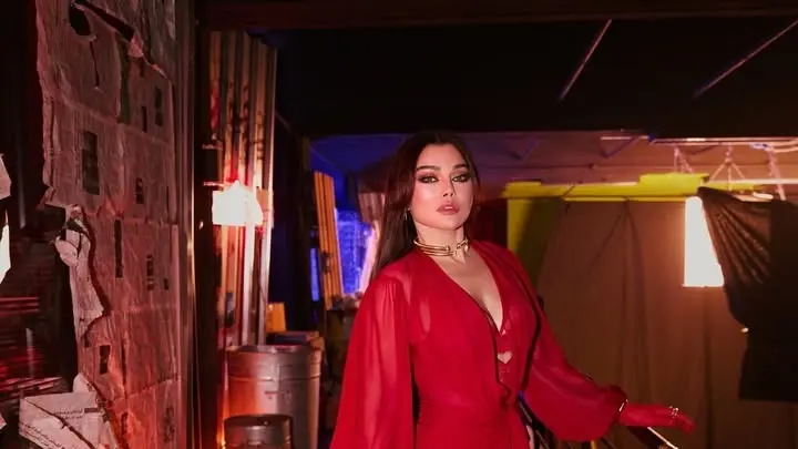 ما هي حقيقة فيديو هيفاء وهبي؟ الفنانة تلجأ للقانون