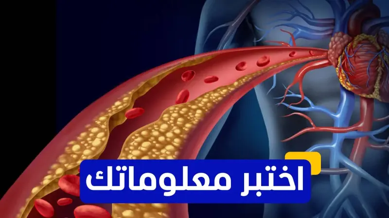 اختبر معلوماتك - ما هو الكوليسترول الذي يرتبط بزيادة خطر الإصابة بأمراض القلب؟