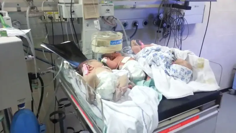 قصته هزت مصر.. وفاة 3 أبناء للمعلم أسامة عبده الأزهري في أيام متتالية