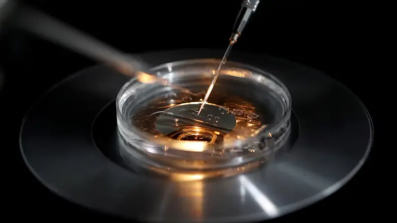 تقرير: فضيحة في هولندا بسبب متبرعين بحيوانات منوية