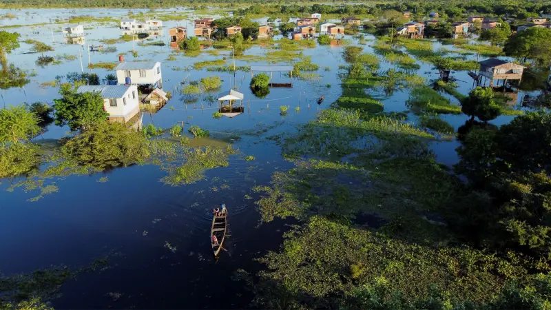 تقرير: تسارع خطر الانقراض يهدد الفقمات والطيور