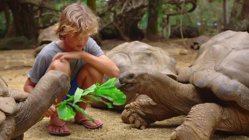 دراسة.. الأطفال الذين يتعرضون للحيوانات أقل عرضة للإصابة بالحساسية