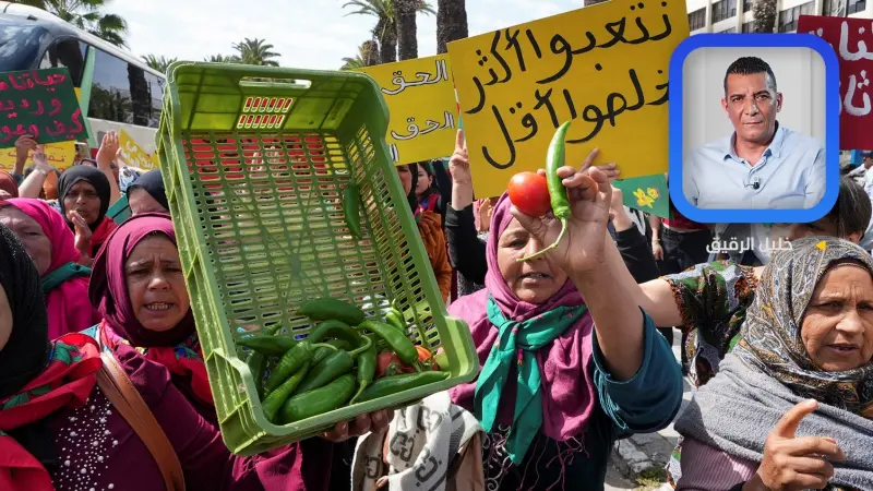 ثورة الإدارة.. أو سقوط "العشرية السوداء" في تونس