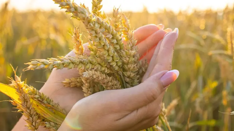 فيديو - نهج استباقي إماراتي لمواجهة التحديات الجيوسياسية والبيئية