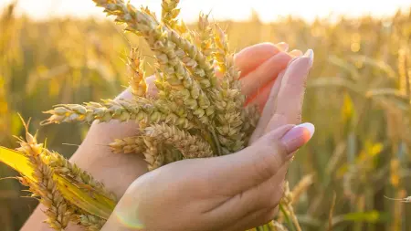 related_news_inside_blogsفيديو - نهج استباقي إماراتي لمواجهة التحديات الجيوسياسية والبيئية