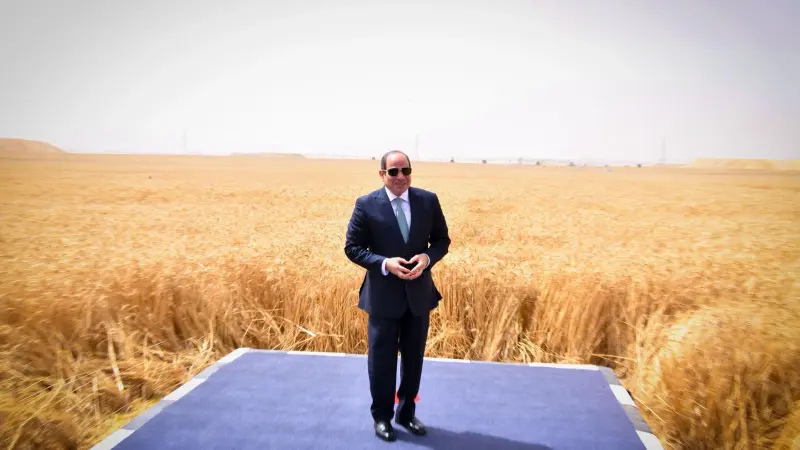 مشروع الدلتا الجديدة.. إليك ما نعرفه عن أكبر مشروع زراعي في مصر