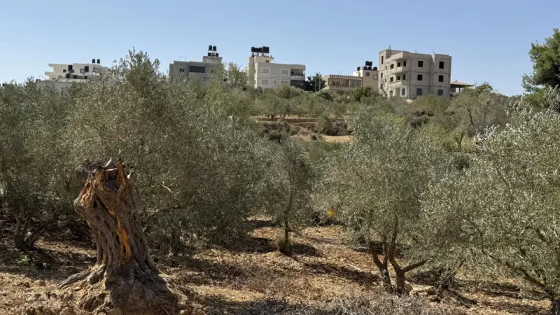 فلسطين تصرف 60% من رواتب سبتمبر وحد أدنى 2,000 شيكل