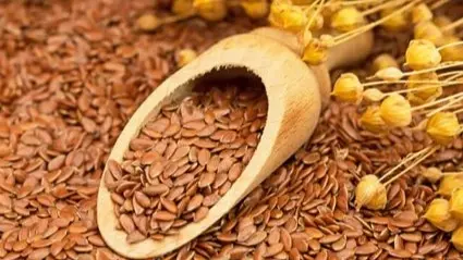 طريقة استعمال بذور القاطونة للقولون