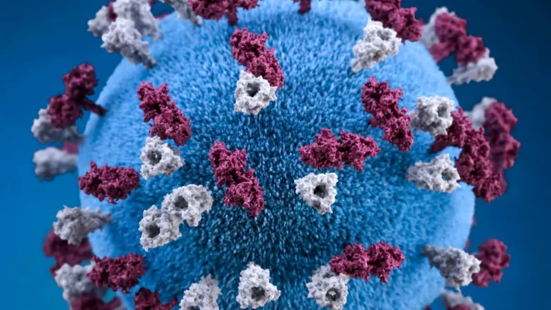 ما حقيقة وجود حالات إيبولا وماربورغ في الجزائر؟