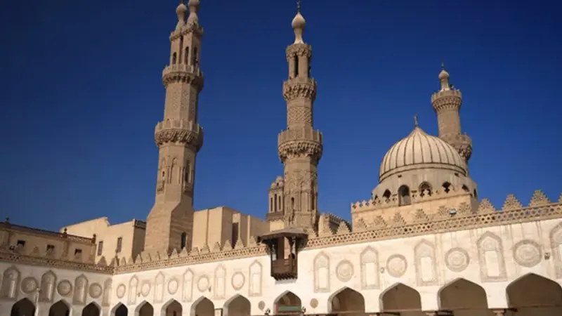 الأزهر يرحب بدعم مصر لدعوى جنوب إفريقيا ضد إسرائيل