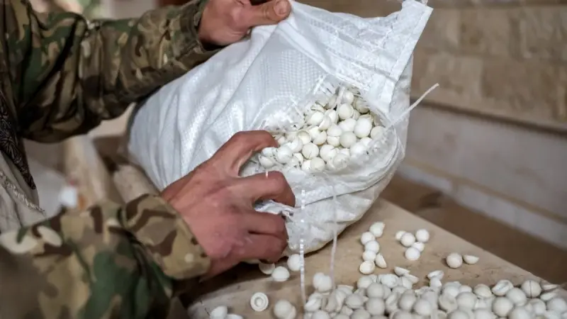 "ملك الكبتاغون".. "الحوثيون" يرثون تجارة المخدرات من نظام الأسد