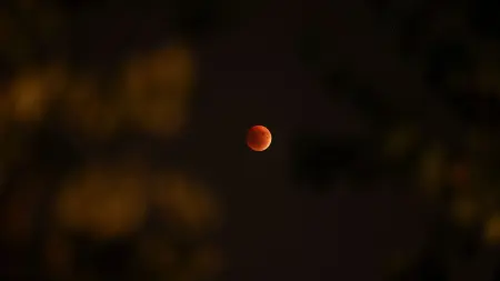 related_news_inside_blogsماذا يعني خسوف القمر الدموي؟ ظاهرة فلكية مدهشة