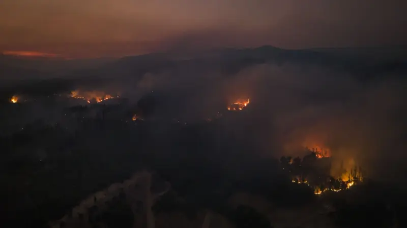 دراسة تحذّر: غابات الأمازون معرضة إلى حالة مناخية خطيرة