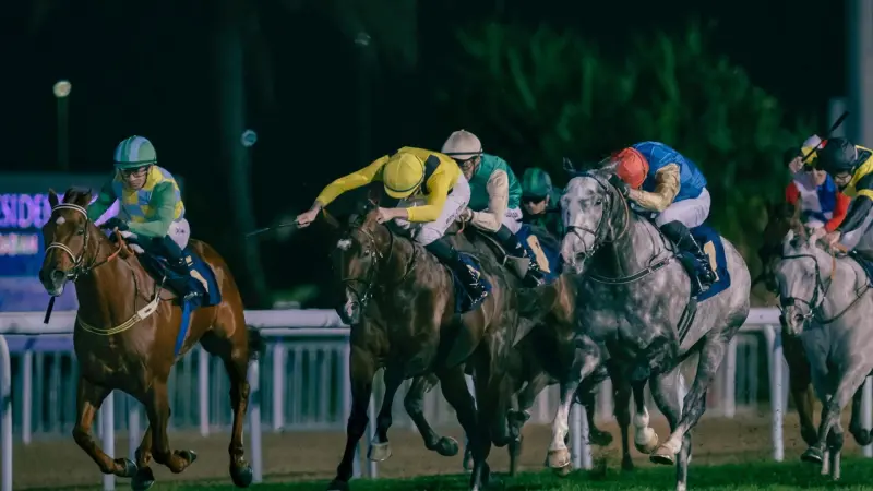 مضمار أبوظبي لسباقات الخيول يحتفي بكأس رئيس الدولة للخيول العربيّة الأصيلة