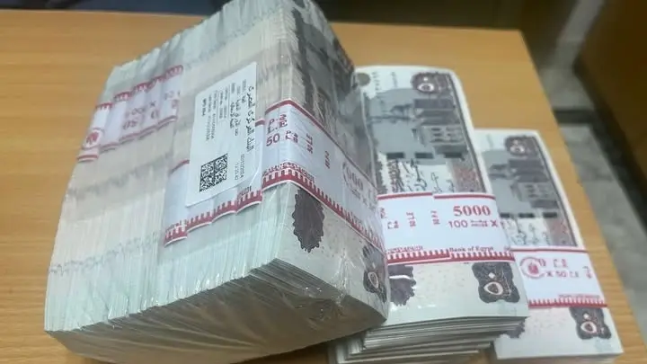 طريقة الاستعلام عن مفردات المرتب بالرقم القومي عبر المنظومة الإلكترونية 2025