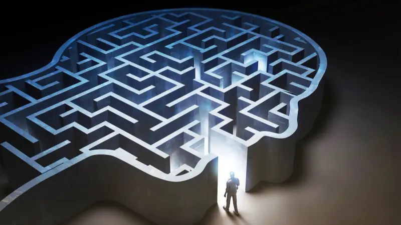 كيف يختار الدماغ الذكريات التي تستحق البقاء؟ دراسة تكشف