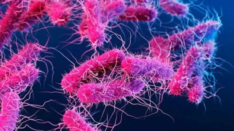 مكمل بسيط يغير علاقة الجسم ببكتيريا الأمعاء