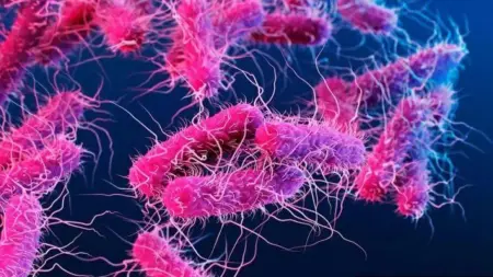 related_news_inside_blogsمكمل بسيط يغير علاقة الجسم ببكتيريا الأمعاء