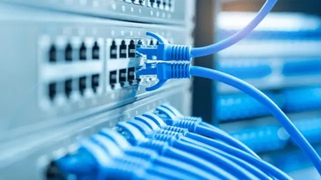 مضاعفة باقة إنترنت أرضي في مصر إلى 100 غيغابايت بالسعر نفسه مضاعفة باقة إنترنت أرضي في مصر إلى 100 غيغابايت بالسعر نفسه