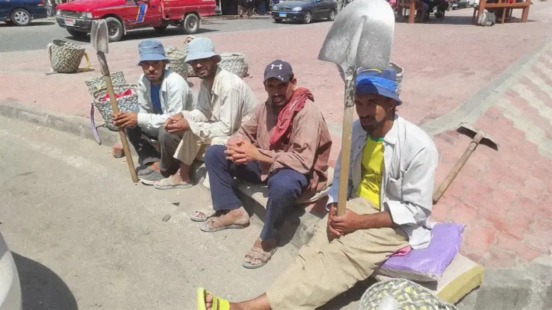 كيفية الاستعلام عن منحة العمالة غير منتظمة 2025 بمصر.. الرابط وشروط التقديم