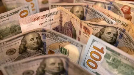 هل يتم إلزام المصريين في الخارج بتحويل 50% من رواتبهم؟