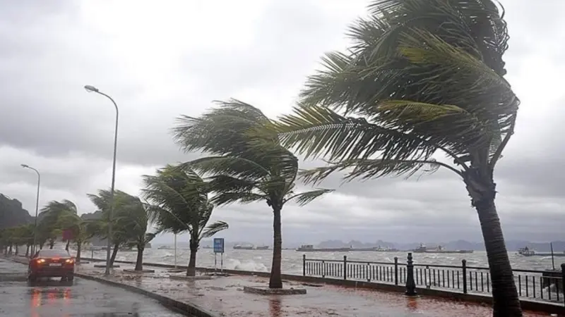 إعصار هاري يقترب من الجزائر.. هذه سرعة الرياح المتوقعة