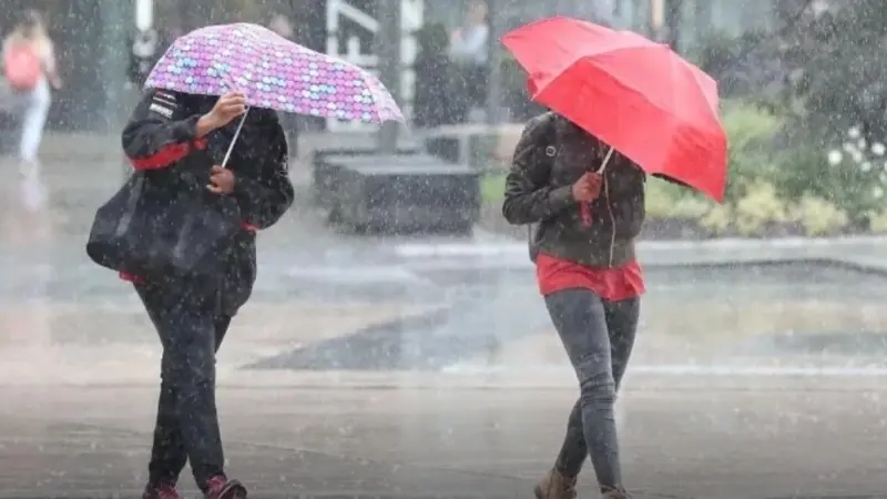 المطر يضرب الجزائر.. ماذا تقول التوقعات عن حالة الطقس غدا الأربعاء؟