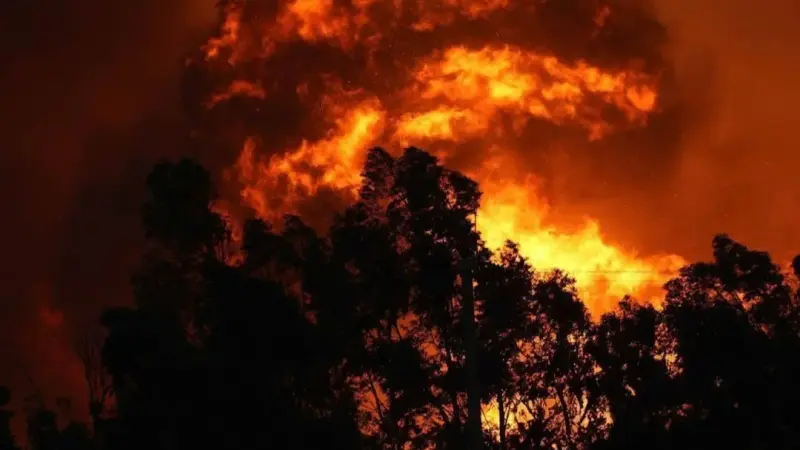 فيديو وصور- حريق غابات هائل يلتهم مناطق سكنية في إزمير التركية