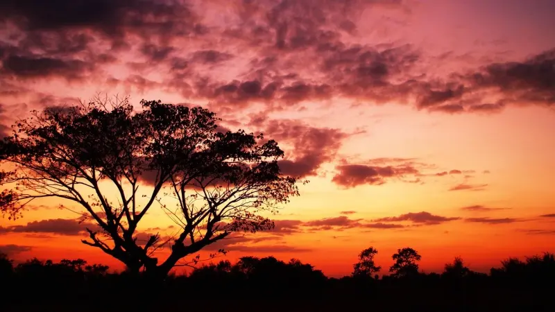 خبراء: عام 2024 قد يكون الأكثر سخونة في التاريخ