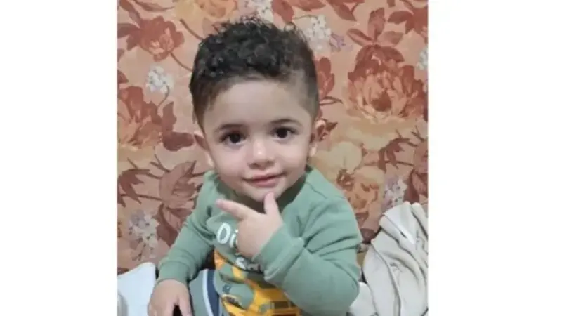 ما سبب وفاة طفل عمان؟ كل ما تريد معرفته عن ذبابة الرمل السوداء